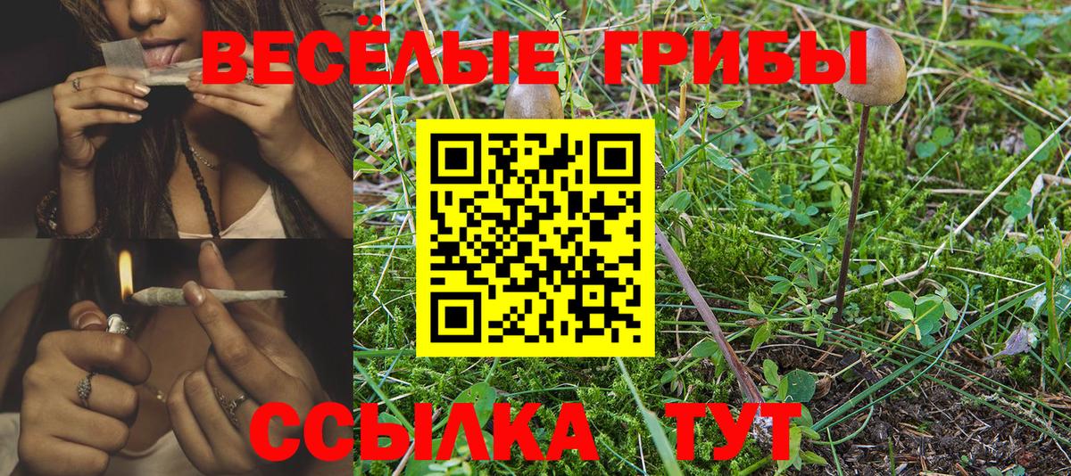 Галлюциногенные грибы Psilocybine cubensis  Псилоцибиновые грибы Cubensis  Вход с VPN  Мончегорск 